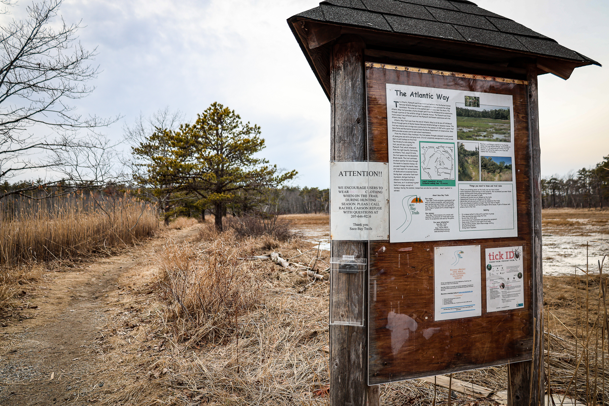 Atlantic-Trail-1.jpg Atlantic-Trail-1.jpg