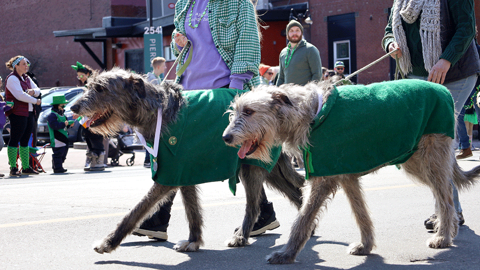 2026-03-15_SaintPatricksParade_Edited_Blog17.png 2026-03-15_SaintPatricksParade_Edited_Blog17.png