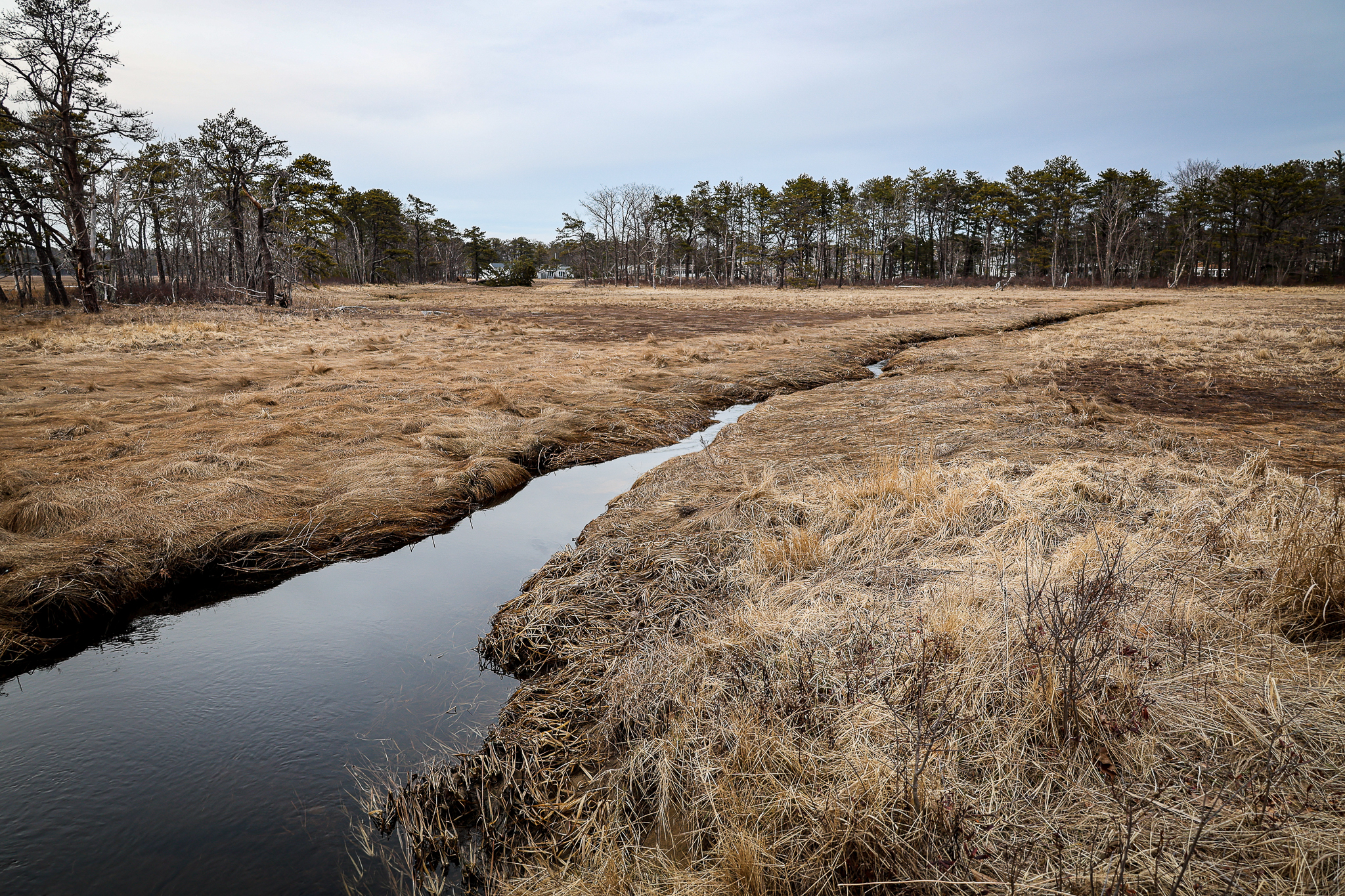 AtlanticTrail_Saco-(3).jpg