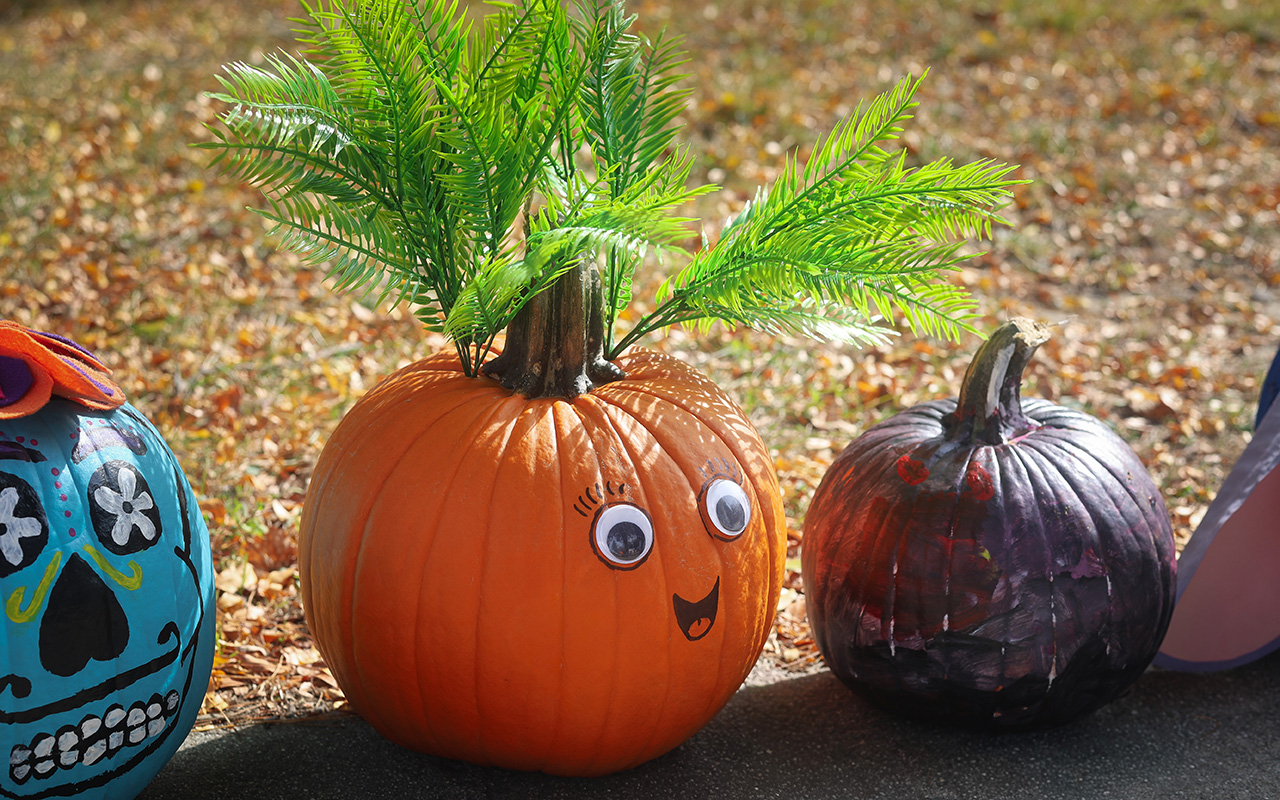 2028-10-19_Pumpkin-Harvest-Festival_Edited_Blog_Ours-12.jpg 2028-10-19_Pumpkin-Harvest-Festival_Edited_Blog_Ours-12.jpg