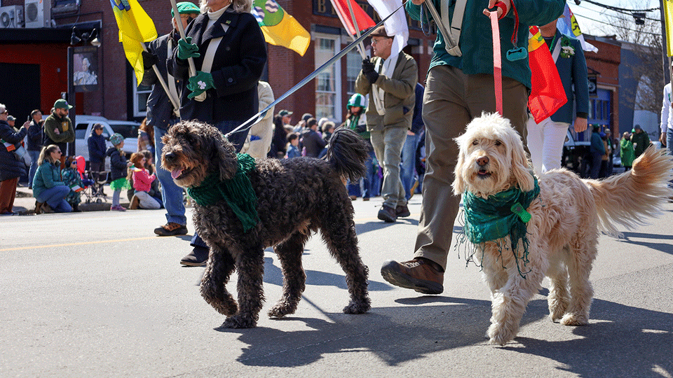2026-03-15_SaintPatricksParade_Edited_Blog6.png 2026-03-15_SaintPatricksParade_Edited_Blog6.png