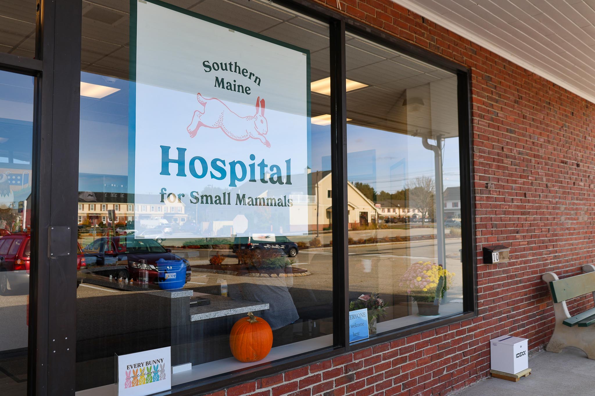 AnimalHospital_SmallFiles_Ours-1.jpg