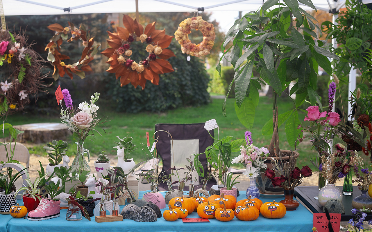 2028-10-19_Pumpkin-Harvest-Festival_Edited_Blog_Ours-25.jpg 2028-10-19_Pumpkin-Harvest-Festival_Edited_Blog_Ours-25.jpg