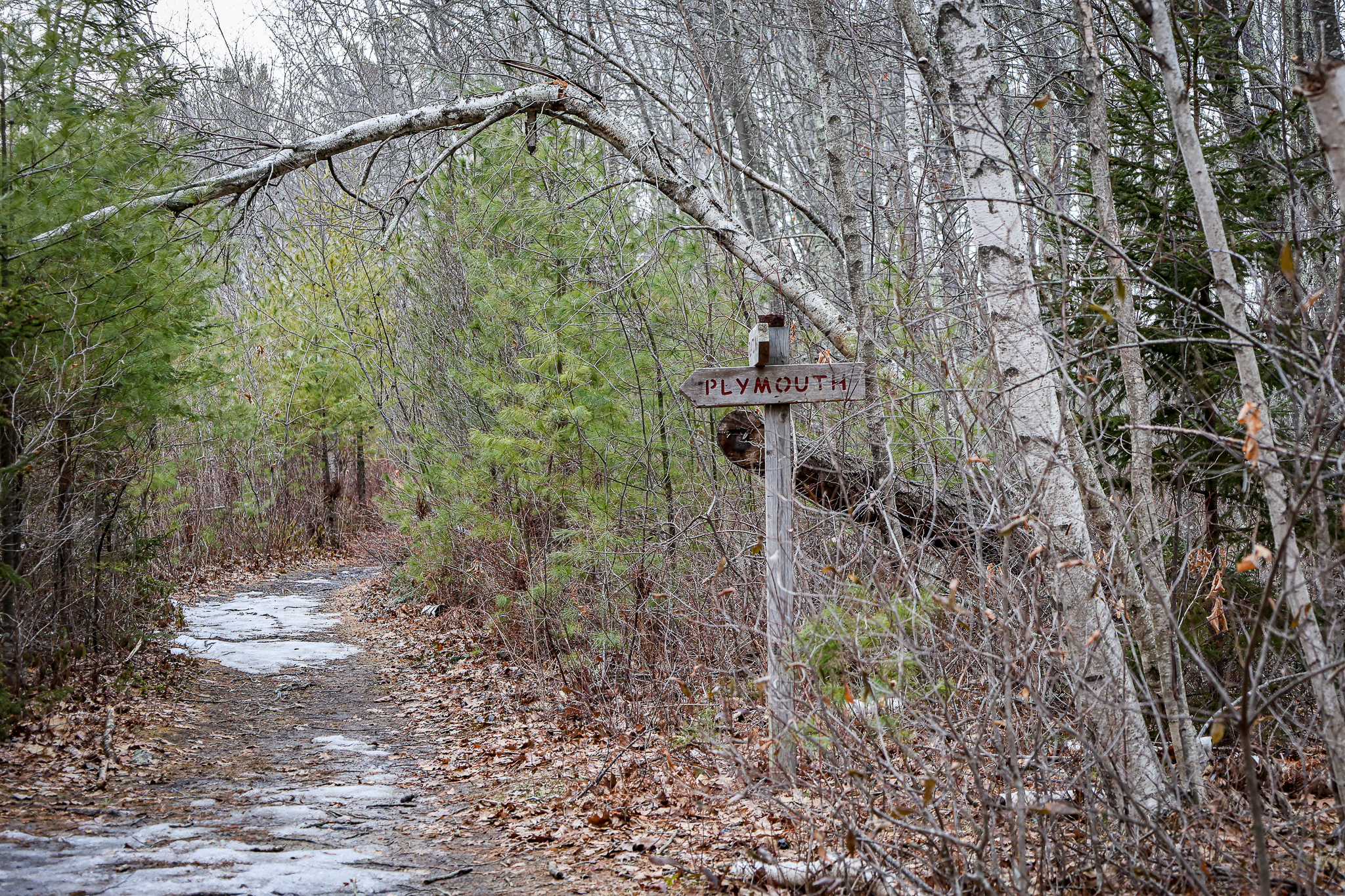 AtlanticTrail_Saco-(6).jpg AtlanticTrail_Saco-(6).jpg