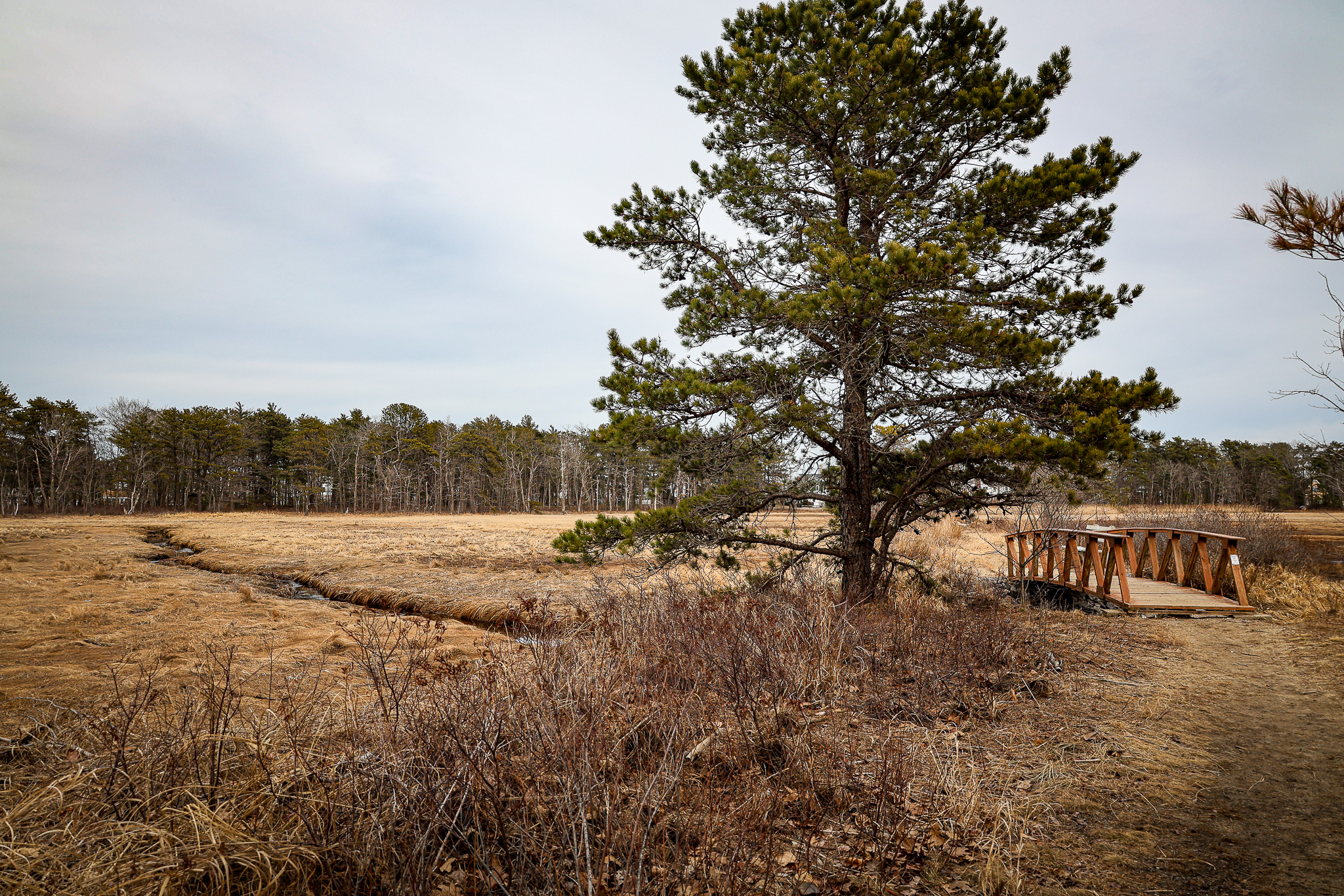 AtlanticTrail_Saco-(4).jpg AtlanticTrail_Saco-(4).jpg